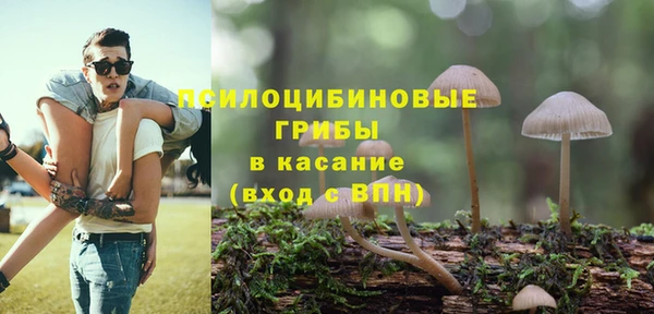 гидропоника Надым