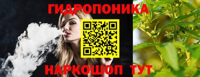 сатива Малгобек